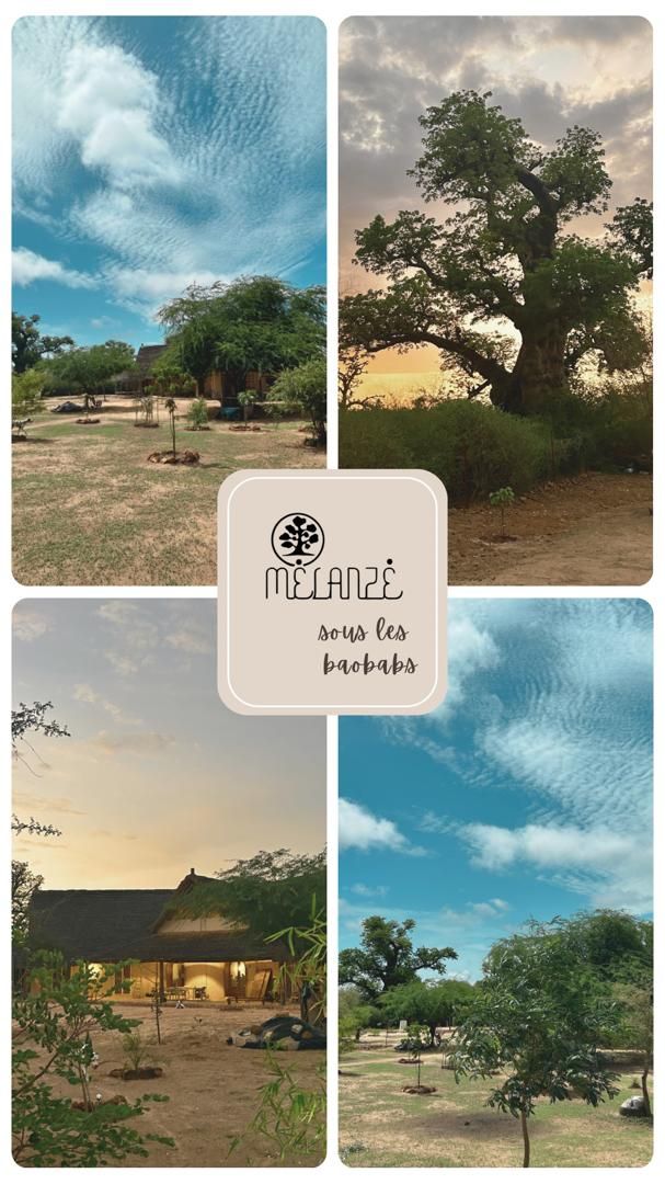 Vie sous les baobabs à Mélanzé